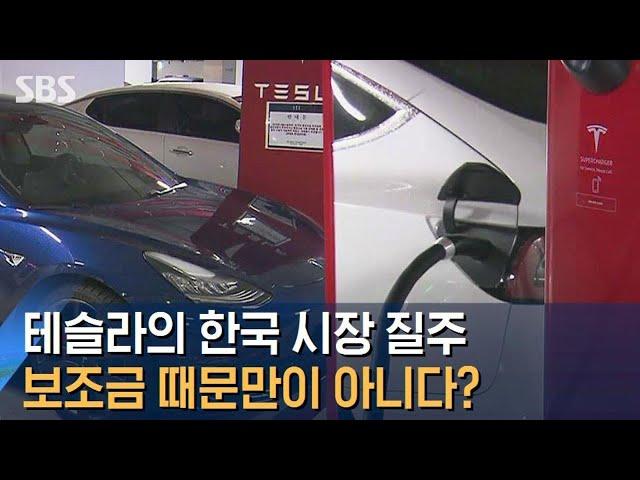 테슬라의 한국 시장 질주, 보조금 때문만이 아니다? / SBS