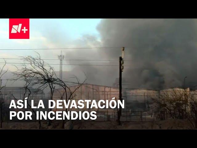 Emergencia por incendios en Nuevo León: Devastación por las llamas - Despierta