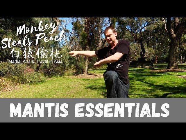 Taiji Mantis Form - The Essentials (Quan Zhong Zhai Yao) p1