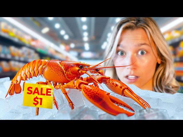 Raising a Grocery Store Lobster as a Pet