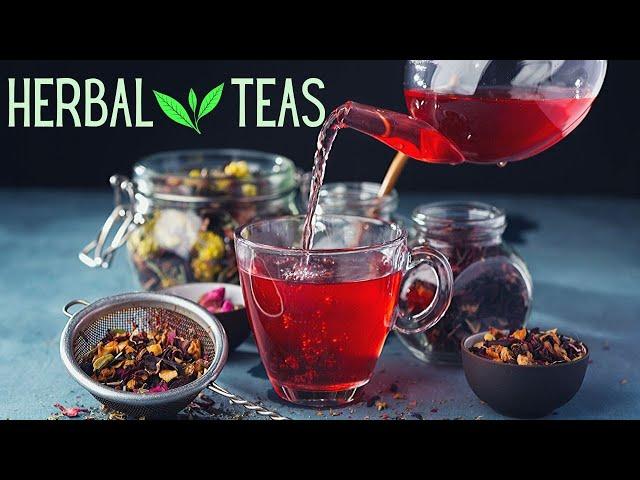 20 Herbal Teas That Can Improve Your Lifestyle and Overall Well-Being | Healthy Living Tips