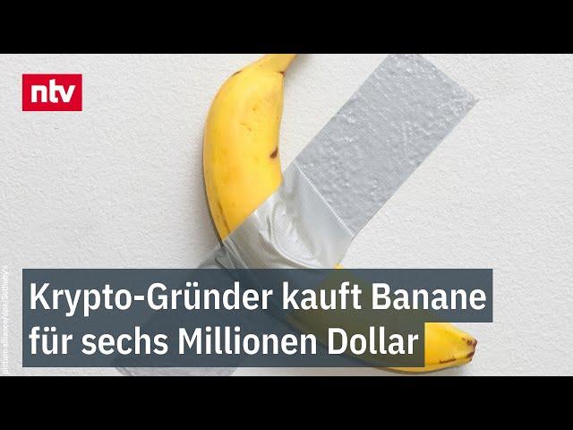 Selbst Sotheby's geschockt: Krypto-Gründer kauft Banane für sechs Millionen Dollar | ntv