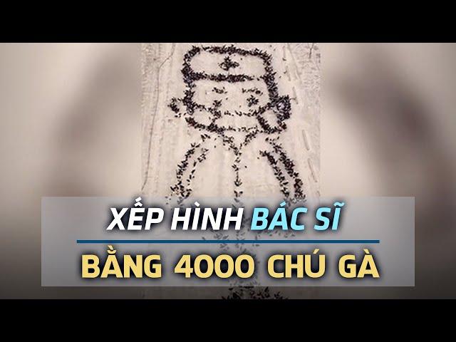 Anh nông dân dùng 4000 chú gà để cổ vũ tinh thần bác sĩ