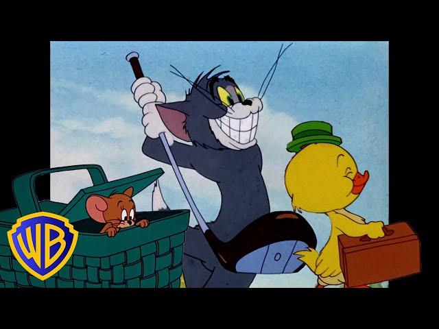 Tom und Jerry auf Deutsch  | Der Frühling liegt in der Luft!  | @WBKidsDeutschland​