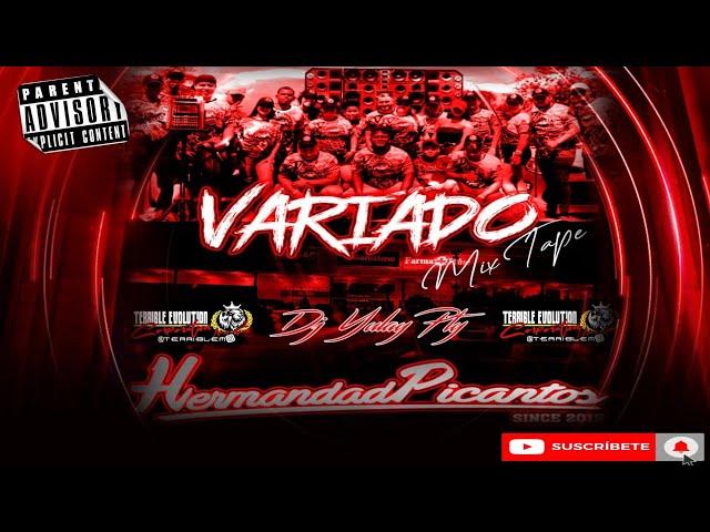 VARIADO MIX 2024 - Dj Yulay PTY Ft Hermandad Picanto  Terrible Evolution Corporation /#mix #viral