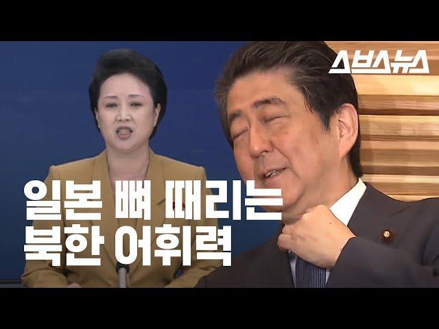 일본 뼈 때리는 북한 어휘력 (feat. 간악한 쪽바리) / Insanely Intense North-Korean Vocabulary!