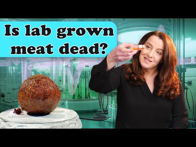 Would you eat MAMMOTH?! How To Cook That Ann Reardon