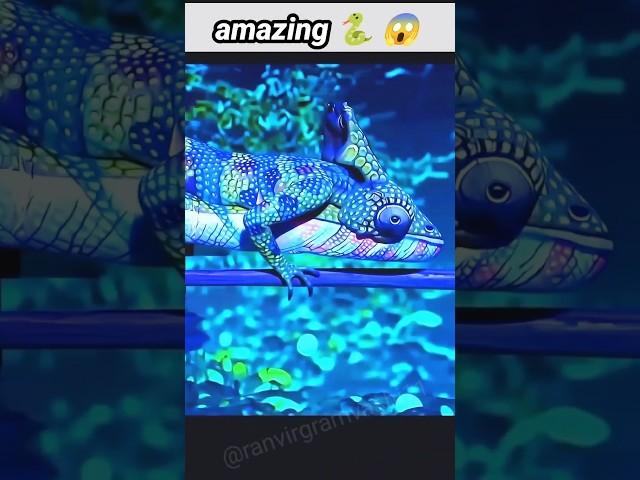 Wow  animals magic video #ranvirgramvashi11 #ai #animals #status #status #shortvideos #trending