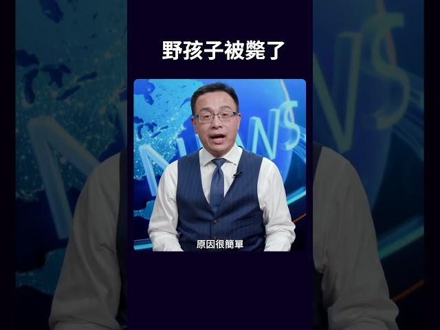 野孩子被斃了