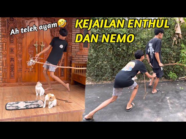 KEJAILAN DAN KESERUAN ENTHUL SAMA NEMO SAAT SHOTHING