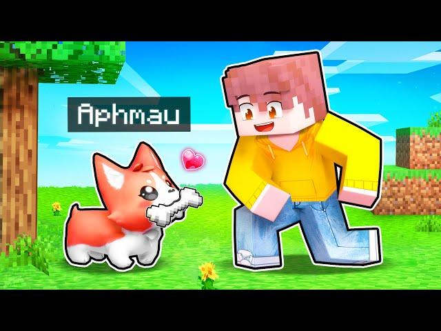 5 Minecraft Puppy PRANKS To Help Your FRIENDS!