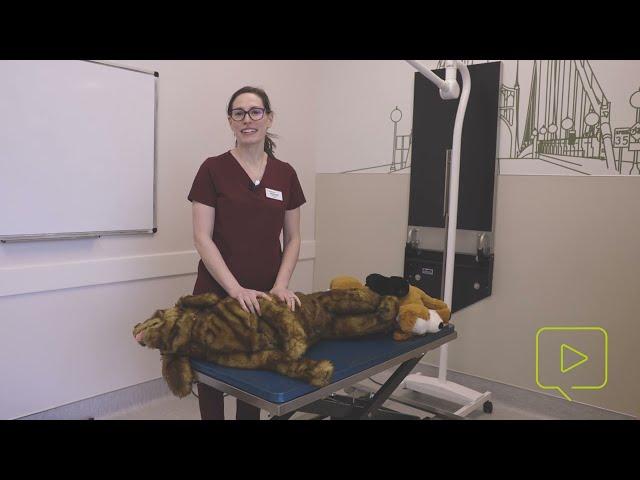 Hand Positioning in Veterinary CPR