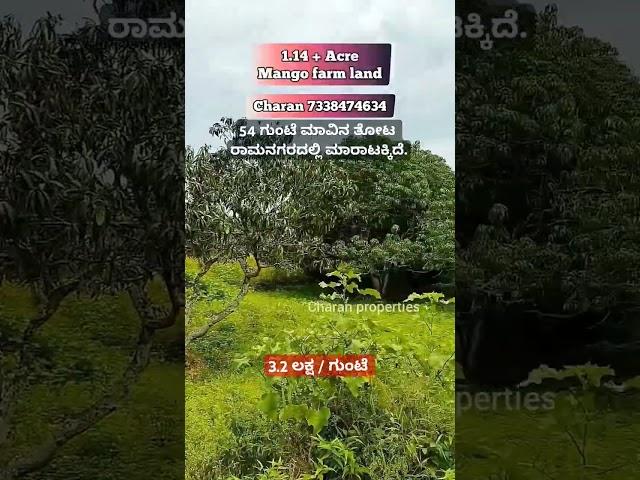 54 Gunta mango farmland sale in Ramanagara, Charan 7338474634