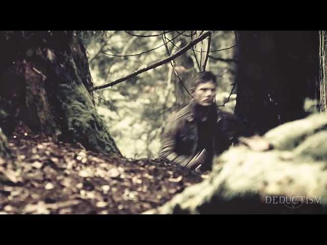 team free will | light 'em up