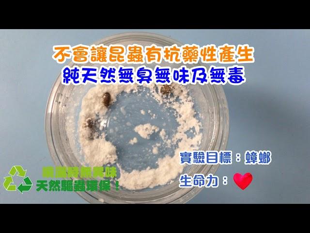 珪藻土萬用驅蟲液 測試