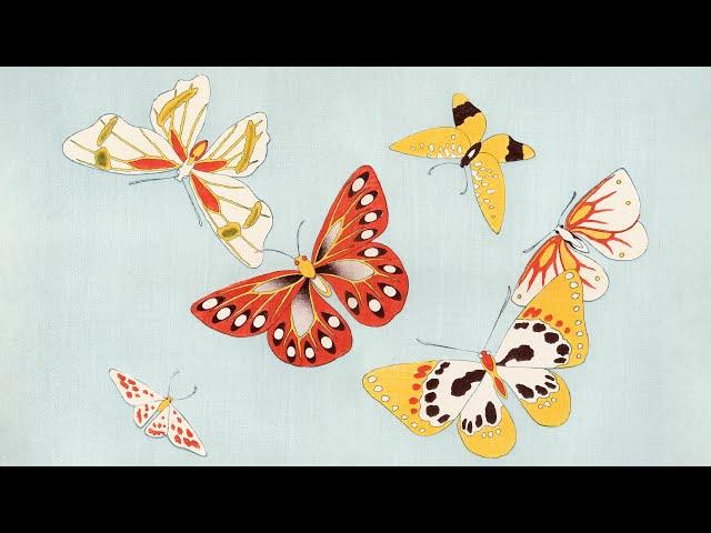 A THOUSAND BUTTERFLIES - CHŌ SENSHU | 10 artworks | the Modern Art TV | Turn your TV into Wall Art