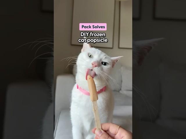 DIY Frozen Cat Popsicles | The Pack