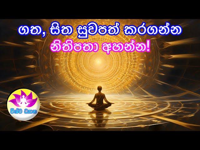 ගත, සිත සුවපත් කරගන්න නිතිපතා අහන්න! | HEALING THE BODY WITH THE MIND!I Vishwa Dhyana විශ්ව ධ්‍යාන