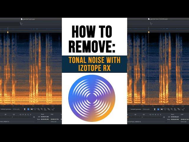 iZotope RX Tutorial - How to Remove Tonal Background Noise from Dialogue