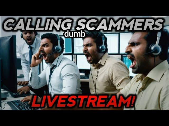 Calling The Dumbest Scammers LIVE!