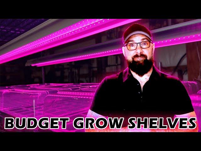 Budget Grow Room Shelves