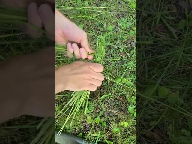 Making Rope out of Grass