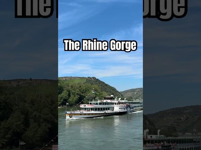 BREATHAKING Scenery While Cruising the Rhine Gorge with Riviera Travel #ad