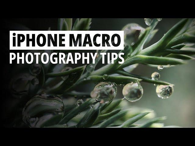 Master iPhone Macro Photography