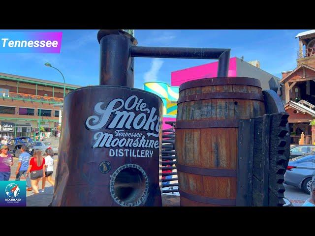 Ole Smoky Moonshine Distillery Tour | #Tennessee 6