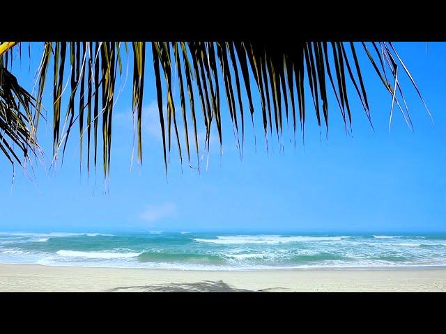 Relaxing Waves, Tropical Beach | Ocean Sounds for Meditation, Study & Sleep | 10 Hours