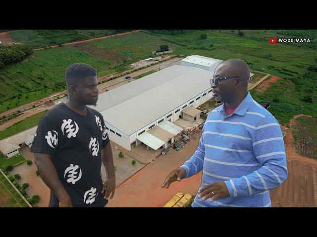 How Two Friends Built Ghana’s Biggest Pineapple Factory!