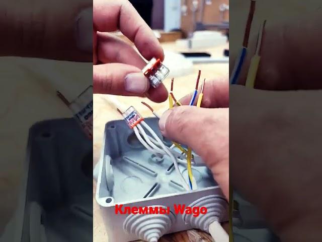 виды клемм Wago (с пастой и без пасты) #инженерэлектрикбро