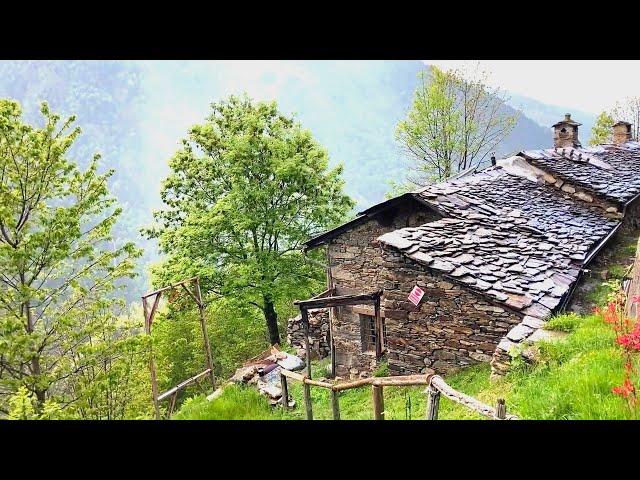 Ep.94 – Finisco Camino in pietra – Camosci e Volpi - Lavori in baita - Natura e paesaggi nelle Alpi