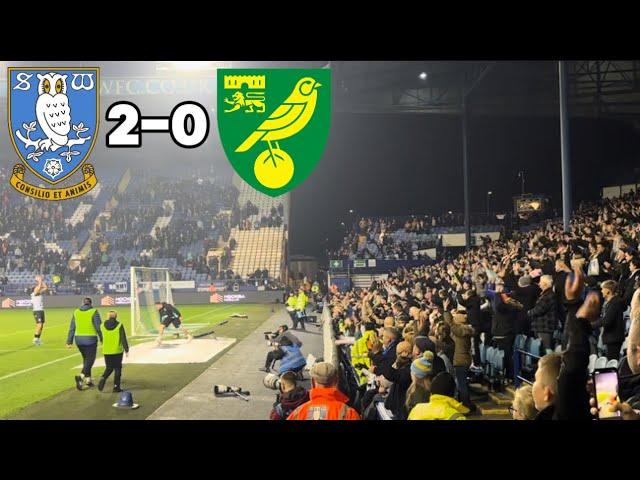 OWLS FIND SPARK ON BONFIRE NIGHT! Sheffield Wednesday 2-0 Norwich City