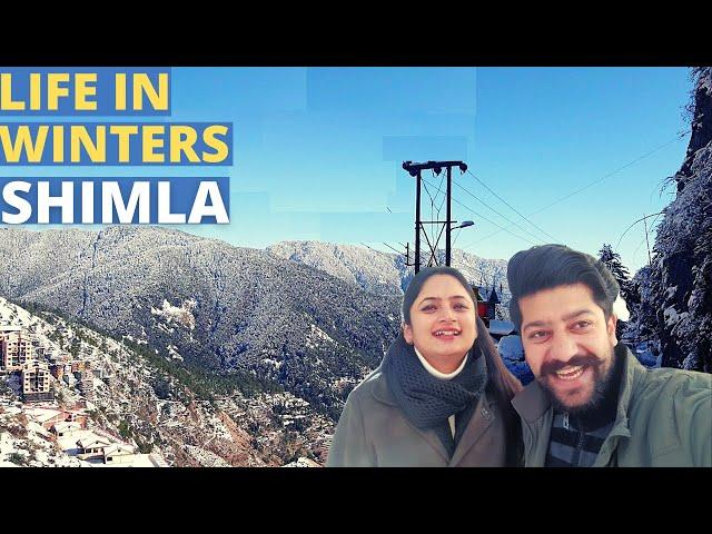 Snowfall in Shimla 2022 | Life in Shimla in Winters | Trek to Office in Snow | Viketan's Paradise