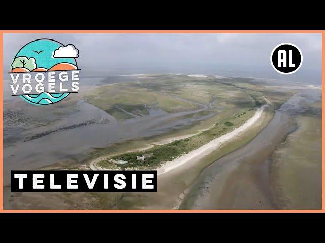 Rust op Rottumerplaat | TV | Vroege Vogels