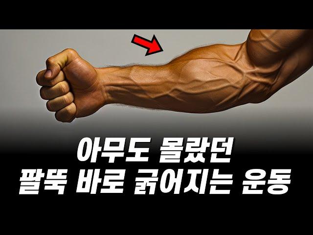 진작에 이 팔뚝 운동을 했었어야 되는데 정말 후회됩니다 (feat. 전완근 굵어지는 방법)