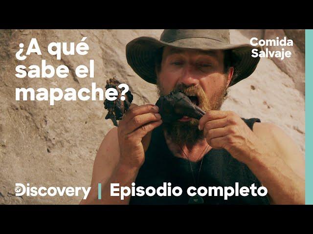 No tenemos agua, comida ni refugio | Episodio Completo | Comida Salvaje