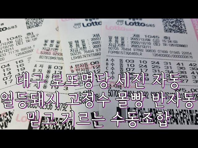 로또 1045회 대구명당 자동, 일등돼지 고정수 몰빵 반자동, 믿고 거르는 돼지 수동조합