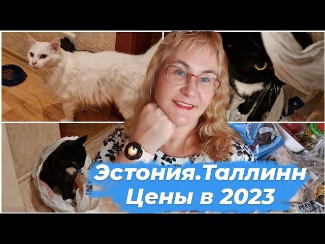 Эстония сколько стоит жить 2023.Обзор продуктов.Цены в Эстонии на продукты.Дорого ли жить в Таллинне