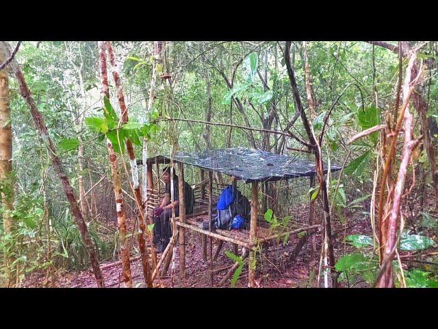 SOLO CAMPING WITH HEAVY RAIN||BUILD A SMALL HOUSE IN THE FOREST OF BORNEO
