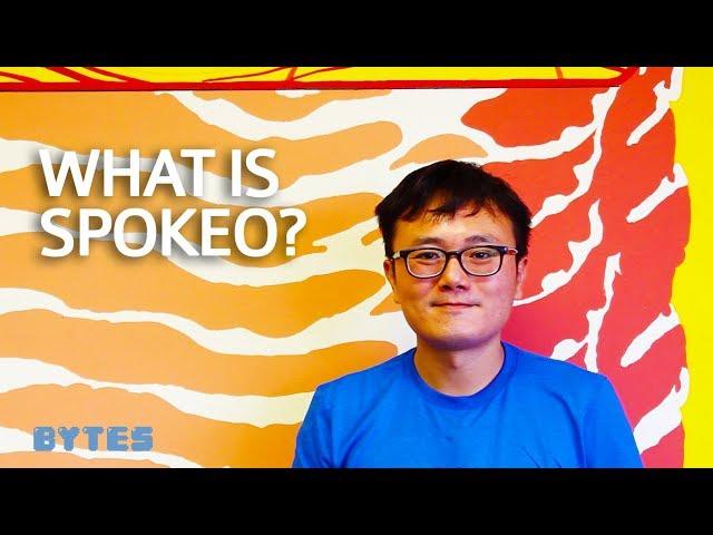 What is Spokeo? with Harrison Tang CEO and Founder