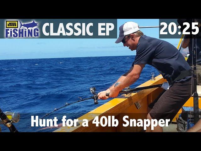 Hunt for the 40lb snapper