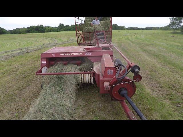 Small square baling grass hay with an International square baler