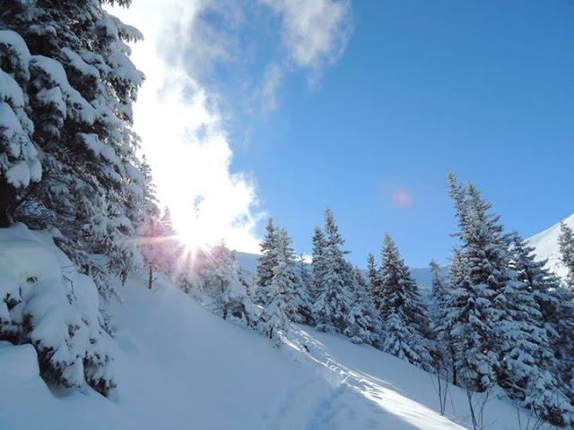 Зимові Карпати / Зимние Карпаты / Carpathians winter