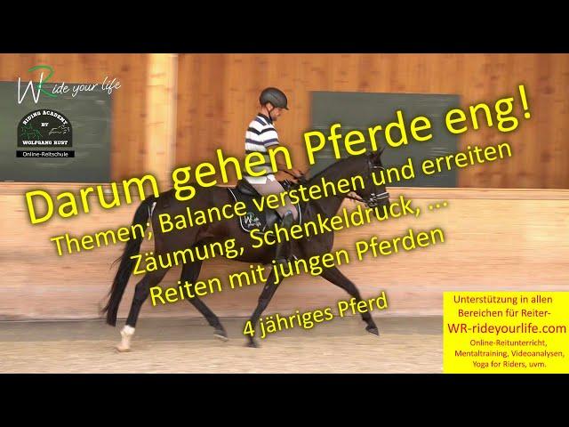 F170 Pferde in Balance reiten lernen, Zäumung, der Sinn des Schenkeldruck, Ausbildung junger Pferde