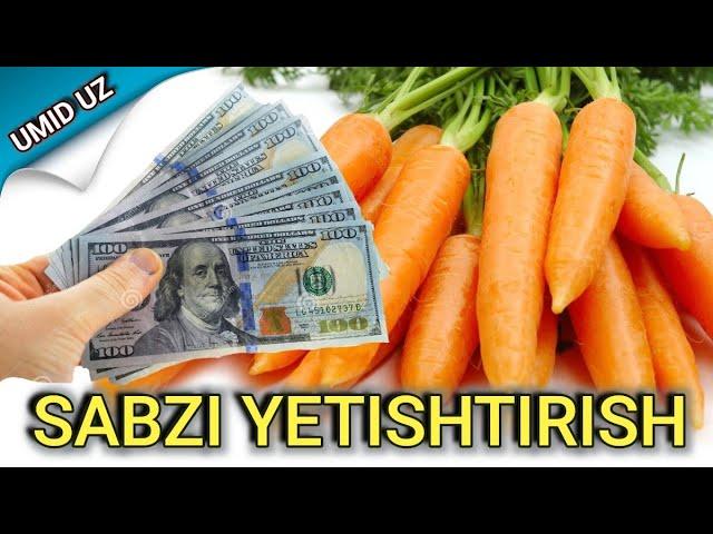 Bahorgi SABZI yetishtirishning eng sirli jarayonlari. Bu yil Sabzi zoʻr boʻldi narhlar BOʼMBA