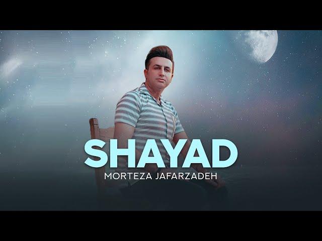 Morteza Jafarzadeh - Shayad | OFFICIAL AUDIO TRACK مرتضی جعفرزاده - شیاد