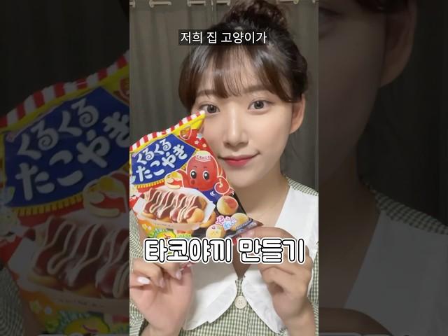 키우는 고양이가 집나갔던 썰..