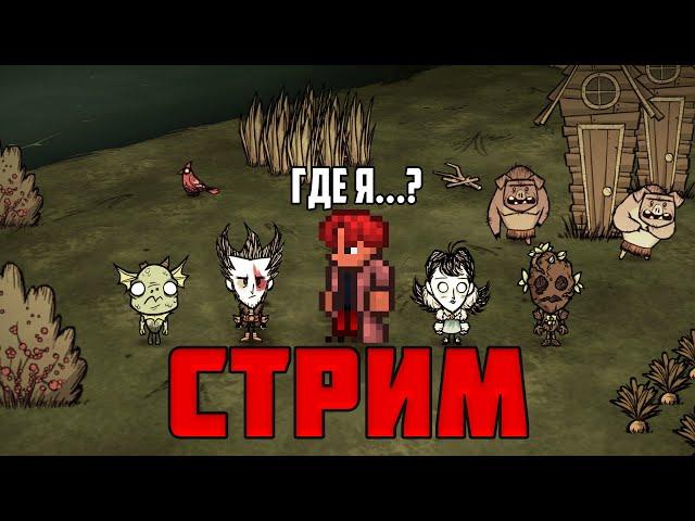 ПЕРВЫЙ РАЗ В DON'T STARVE TOGETHER СТРИМ // ДОНТ СТАРВ